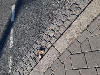 High angle view of zebra crossing on street