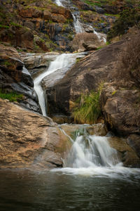 Scenic view of waterfall in forest