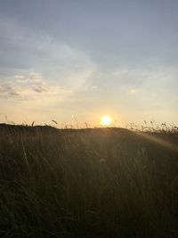 Scenic view of field against sky during sunset