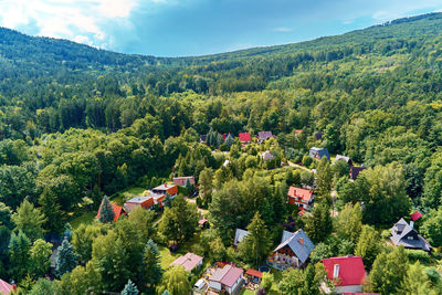 Mountain village with forests, bird eye view