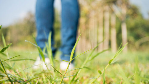 Low section of person standing on field