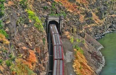 High angle view of bridge over river in forest