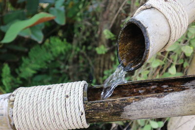 Close-up of rusty pipe