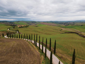 Scenic view of agricultural field against sky