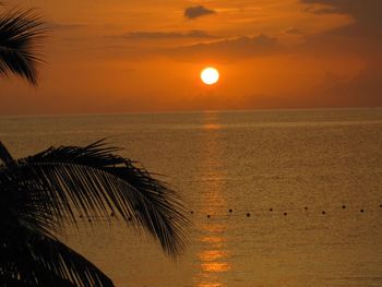 Scenic view of sea during sunset