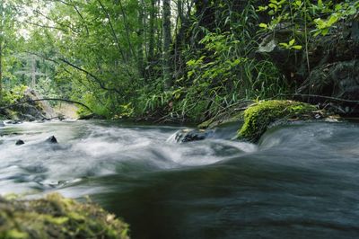 River flowing through rocks