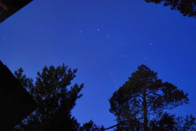 Low angle view of silhouette trees against clear blue sky