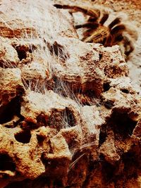 Full frame shot of rock