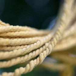 Close-up of ropes