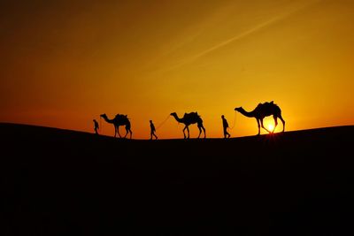 Silhouette people riding horse on desert against sky during sunset