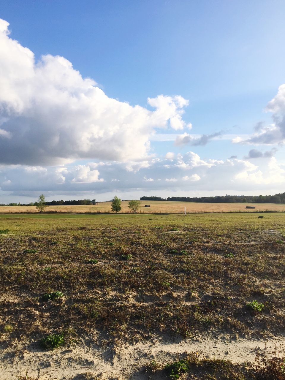 sky, field, landscape, tranquil scene, tranquility, agriculture, rural scene, scenics, beauty in nature, nature, cloud - sky, growth, farm, cloud, crop, grass, horizon over land, plant, day, cloudy