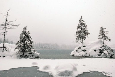 Winter landscape, frozen lake, trees, snow, outdoors.