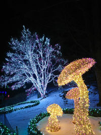 Illuminated christmas decoration in water at night