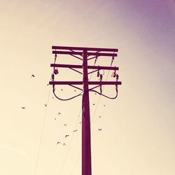 Low angle view of bird on pole against clear sky