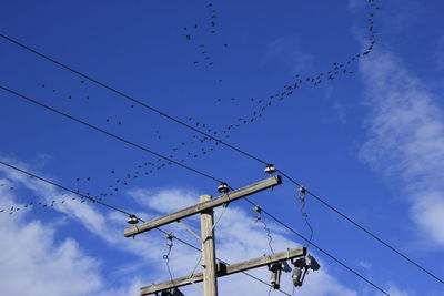 Low angle view of birds flying against sky