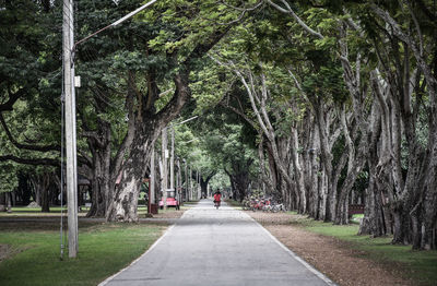 Rear view of people walking on road in park