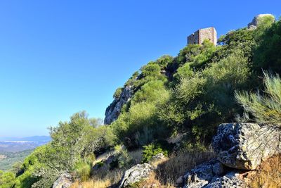 Low angle view of tree mountain against clear blue sky