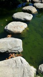 Water on rock by sea