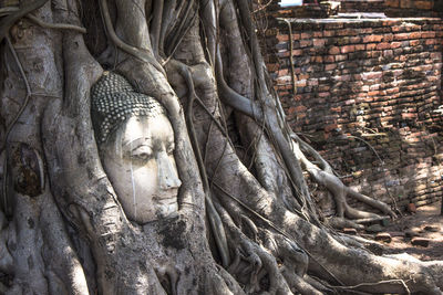 View of buddha statue