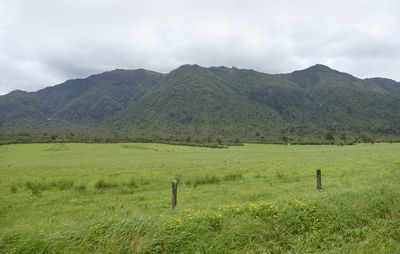 Scenic view of field against sky