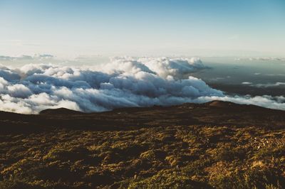 Scenic view of landscape against sky