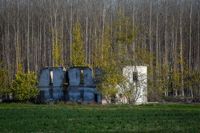 Built structure on field in forest