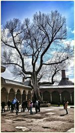 Bare trees against sky