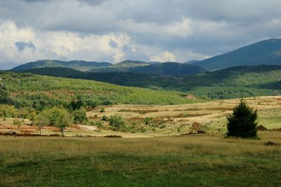 landscape