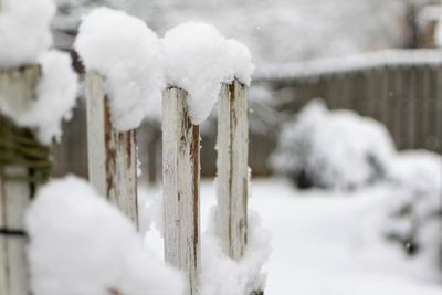 Close-up of icicles on wood