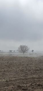 Scenic view of field against sky during winter