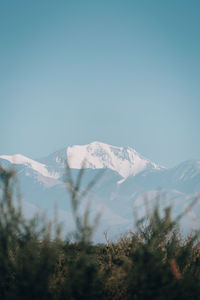 Scenic view of snowcapped mountains against clear blue sky