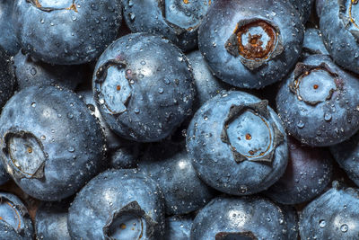 Full frame shot of wet blueberries