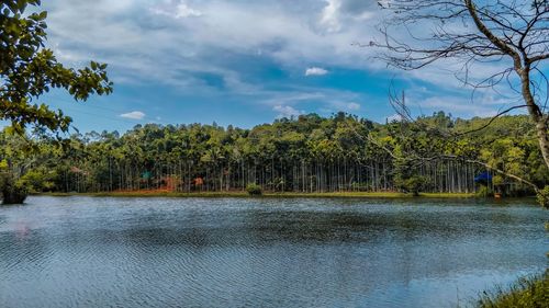 Scenic view of lake by trees against sky