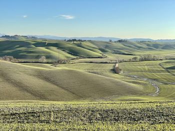 Scenic view of agricultural field against sky