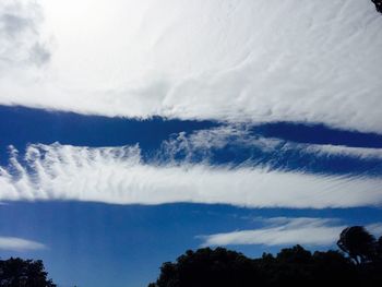 Low angle view of trees against cloudy sky