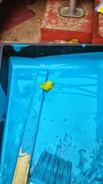 High angle view of fish swimming in pool