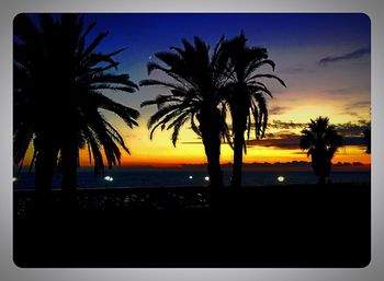 Silhouette of palm trees at sunset