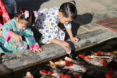 Boys, asian women in japanese clothing, sit and feed koi fish by the pond and in the soft sunlight.