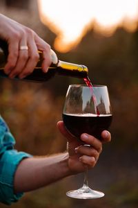 Midsection of man pouring wine in glass