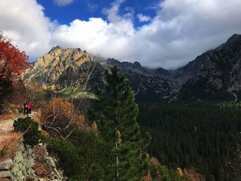 Plants and mountains against sky