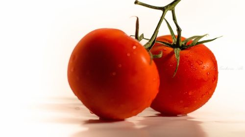 Close-up of tomatoes against white background