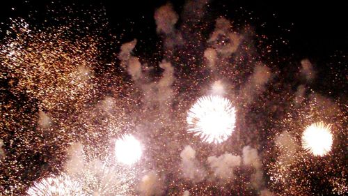 Low angle view of firework display at night