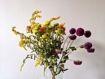 Close-up of flowering plant in vase against wall