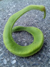 Close-up of green leaf