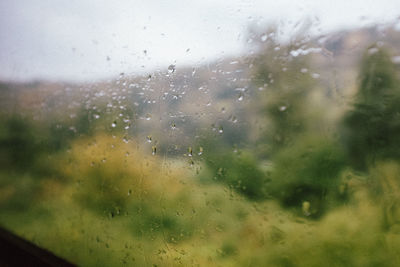 Raindrops on glass window