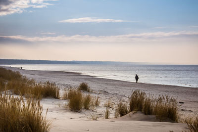 A beautiful landscape of a baltic sea beach