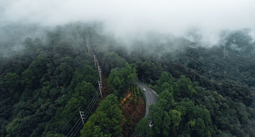 High angle view of road amidst trees in forest