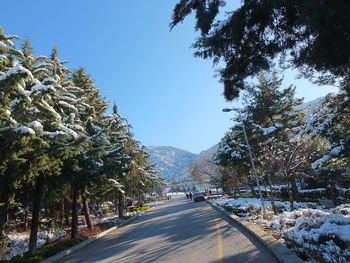 Road amidst trees against sky during winter