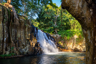 Scenic view of waterfall in forest