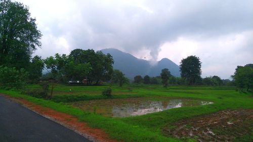 Trees on field against sky during rainy season